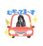 可愛らしいアフガンハウンド（個別スタンプ：2）