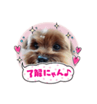チップしか勝たん（個別スタンプ：5）