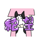 佐々木さんちのねこ（個別スタンプ：10）