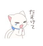 子猫がいっぱい♥2（個別スタンプ：26）