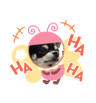 ハピハピスタンプ3（個別スタンプ：2）