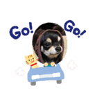 ハピハピスタンプ3（個別スタンプ：7）