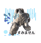 アフガンハウンドの休日（個別スタンプ：9）