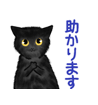 黒猫のやまとくんご挨拶2（個別スタンプ：2）