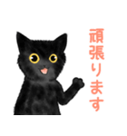 黒猫のやまとくんご挨拶2（個別スタンプ：8）