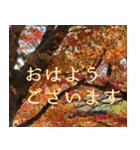 京都の風景とお食事（個別スタンプ：1）