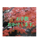 京都の風景とお食事（個別スタンプ：32）