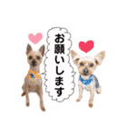 うちのあいどるちゃん（個別スタンプ：7）
