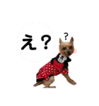 うちのあいどるちゃん（個別スタンプ：8）