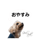 うちのあいどるちゃん（個別スタンプ：9）
