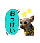 うちのあいどるちゃん（個別スタンプ：11）