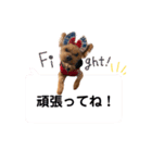 うちのあいどるちゃん（個別スタンプ：15）