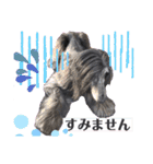元気いっぱいアフガンハウンド（個別スタンプ：7）