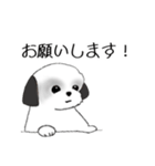 Stickers_Shih Tzu_f シーズースタンプ（個別スタンプ：3）