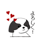 Stickers_Shih Tzu_f シーズースタンプ（個別スタンプ：4）