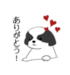 Stickers_Shih Tzu_f シーズースタンプ（個別スタンプ：5）