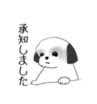 Stickers_Shih Tzu_f シーズースタンプ（個別スタンプ：6）