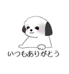 Stickers_Shih Tzu_f シーズースタンプ（個別スタンプ：7）