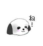 Stickers_Shih Tzu_f シーズースタンプ（個別スタンプ：8）