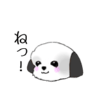 Stickers_Shih Tzu_f シーズースタンプ（個別スタンプ：9）