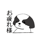 Stickers_Shih Tzu_f シーズースタンプ（個別スタンプ：10）