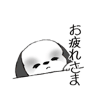 Stickers_Shih Tzu_f シーズースタンプ（個別スタンプ：11）