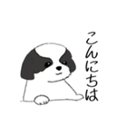 Stickers_Shih Tzu_f シーズースタンプ（個別スタンプ：13）