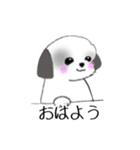 Stickers_Shih Tzu_f シーズースタンプ（個別スタンプ：14）