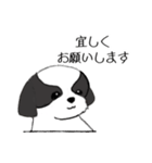 Stickers_Shih Tzu_f シーズースタンプ（個別スタンプ：16）