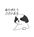 Stickers_Shih Tzu_f シーズースタンプ（個別スタンプ：17）