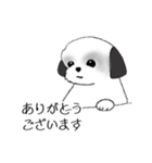 Stickers_Shih Tzu_f シーズースタンプ（個別スタンプ：18）