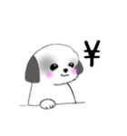 Stickers_Shih Tzu_f シーズースタンプ（個別スタンプ：26）