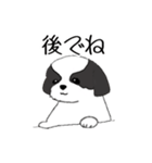 Stickers_Shih Tzu_f シーズースタンプ（個別スタンプ：30）