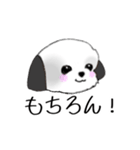 Stickers_Shih Tzu_f シーズースタンプ（個別スタンプ：32）