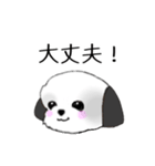 Stickers_Shih Tzu_f シーズースタンプ（個別スタンプ：33）