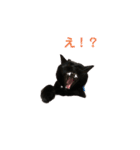 黒猫あめちゃん・関西弁2（個別スタンプ：2）