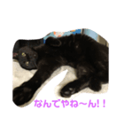 黒猫あめちゃん・関西弁2（個別スタンプ：4）