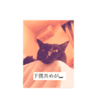 黒猫あめちゃん・関西弁2（個別スタンプ：5）