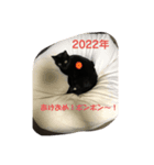 黒猫あめちゃん・関西弁2（個別スタンプ：6）