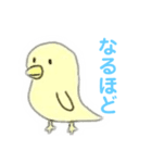 なぞの鳥たちのスタンプ（個別スタンプ：7）