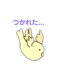 なぞの鳥たちのスタンプ（個別スタンプ：8）
