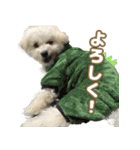 おとこやまスタンプ（個別スタンプ：10）