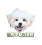 おとこやまスタンプ（個別スタンプ：13）