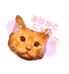 わ"んとして！Good！（個別スタンプ：5）