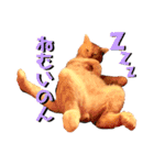 わ"んとして！Good！（個別スタンプ：10）