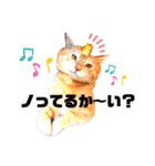 わ"んとして！Good！（個別スタンプ：16）