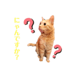 わ"んとして！Good！（個別スタンプ：19）
