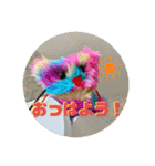 suunuus（個別スタンプ：1）