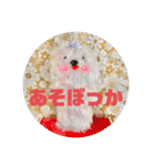 suunuus（個別スタンプ：14）