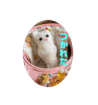 suunuus（個別スタンプ：15）